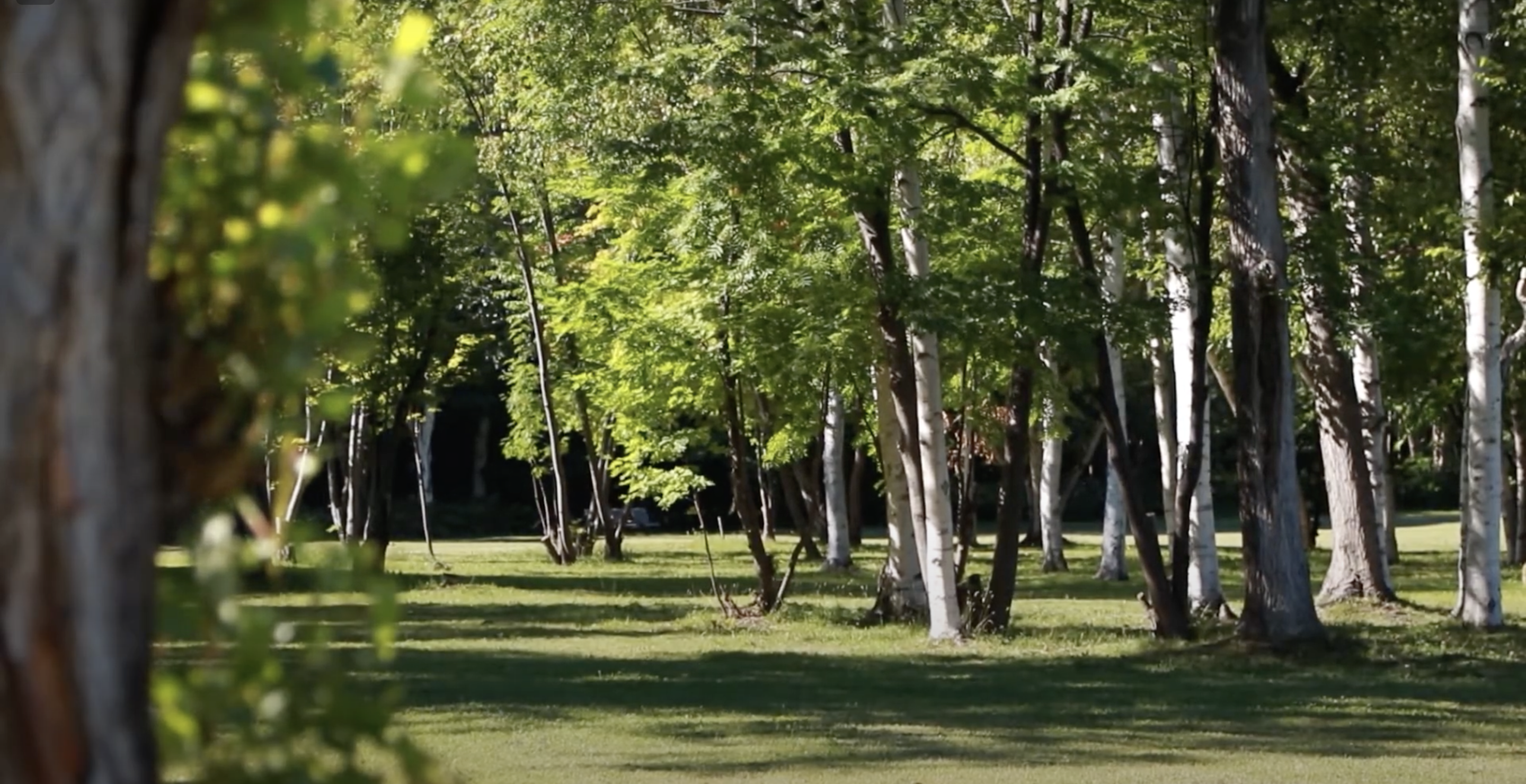 スクリーンショット 2024-05-05 10.29.55